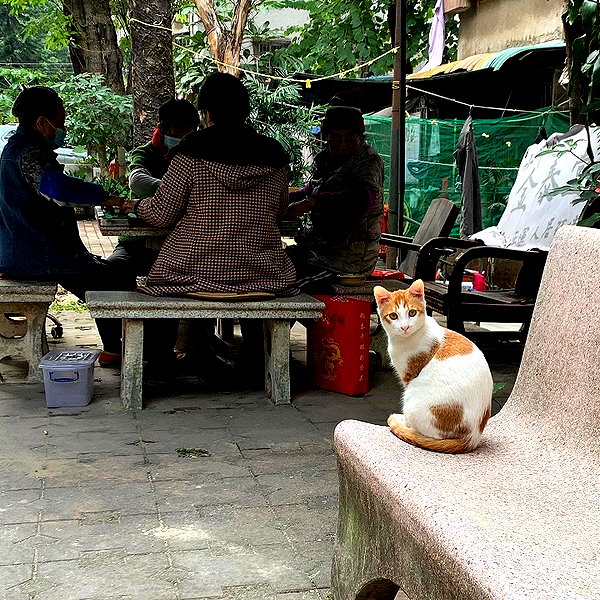 ptpchik instagram image archive image