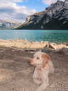 kimberlyy.lynnn Altpins Profile Picture