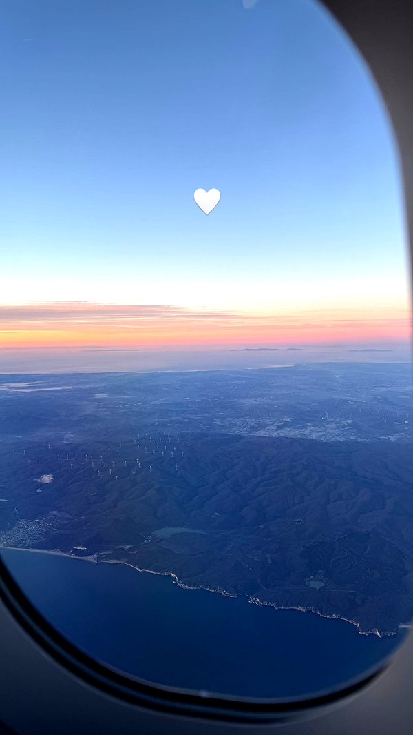 pavoxy instagram image archive image