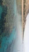 maori_cohen Altpins Profile Picture