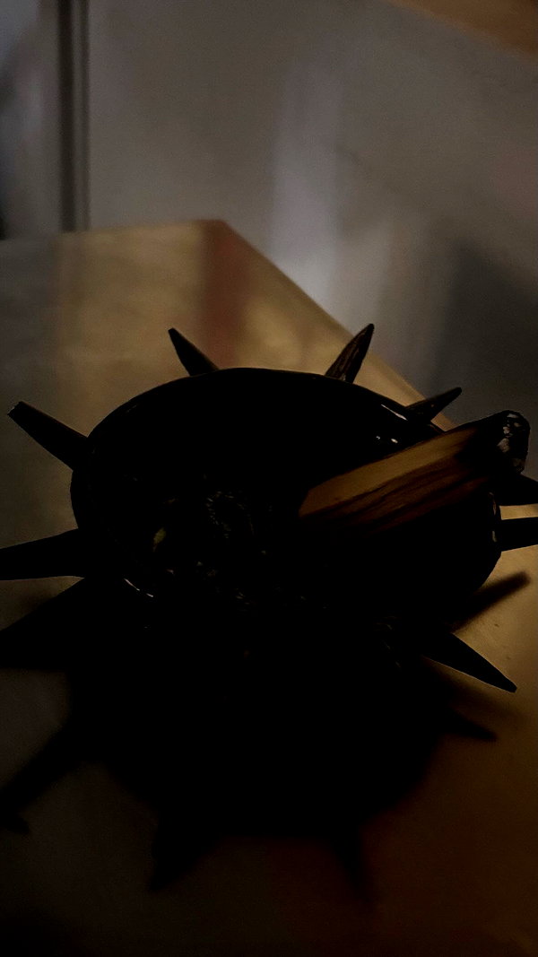 lasaaagna archive image
