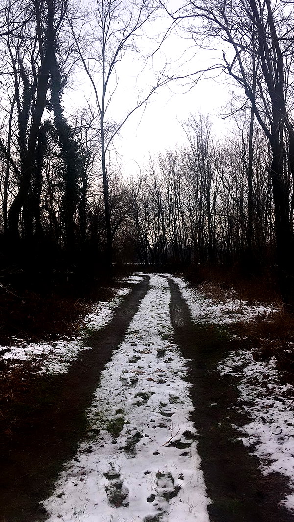rott3nbambi instagram image archive image