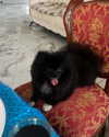katrina.zaiceva Altpins Profile Picture