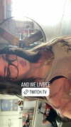nevaaadaa Altpins Profile Picture