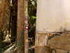 m1lkh8club Altpins Profile Picture