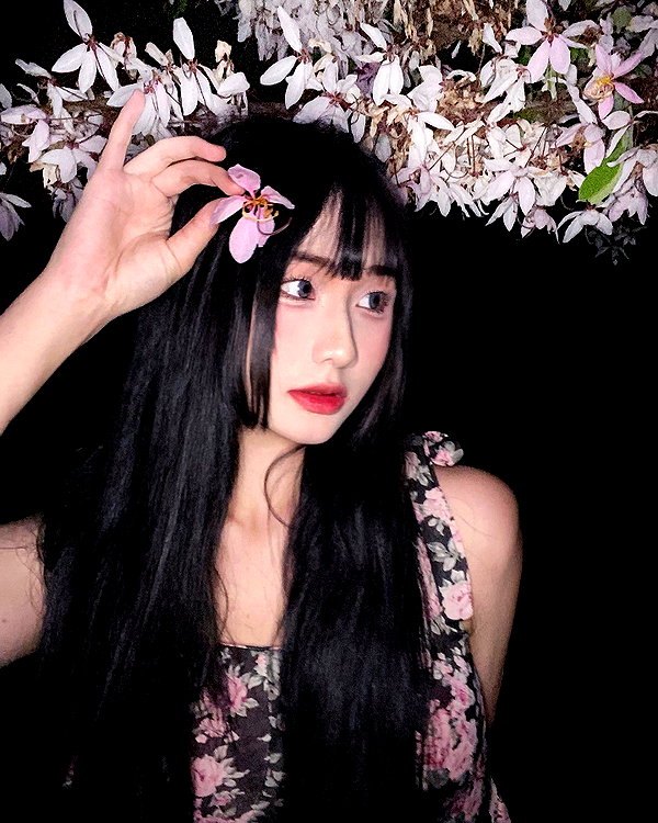 lai_931201 instagram image archive image