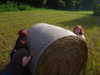 m1lkh8club Altpins Profile Picture