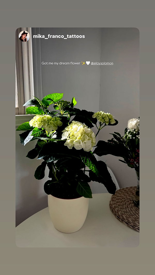 Archived image from @elaysolomon on Instagram