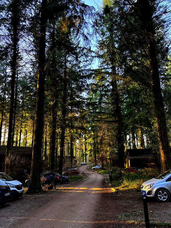 mollieruck instagram image archive image