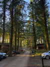 mollieruck Altpins Profile Picture