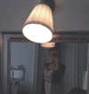 lilih Altpins Profile Picture