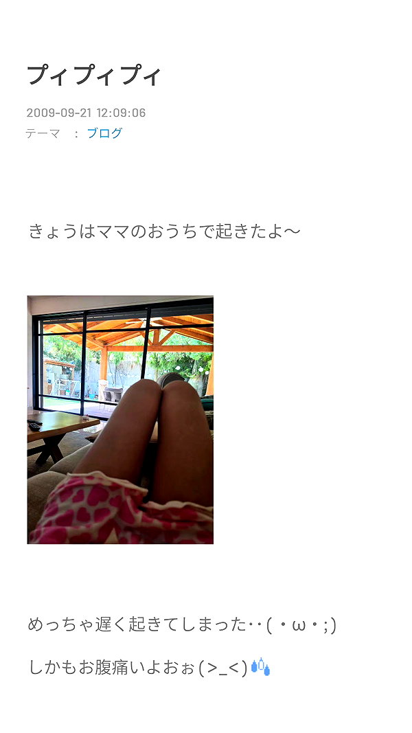 piyokoblog archive image