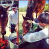 gigihadid Altpins Profile Picture