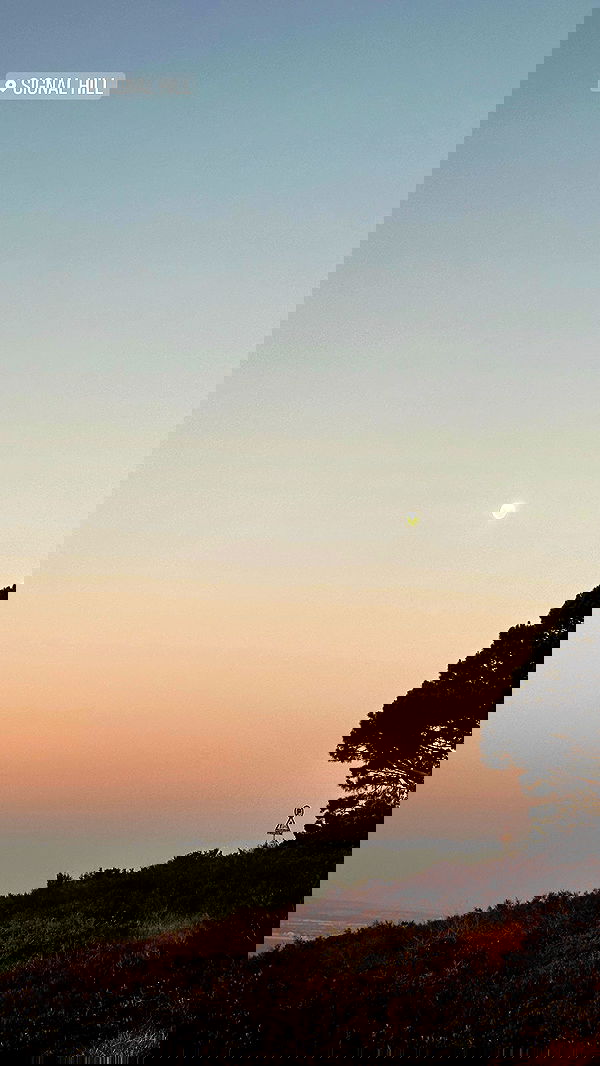 taylor.creeden taylor.creeden archive image