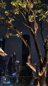 shpaakova Altpins Profile Picture