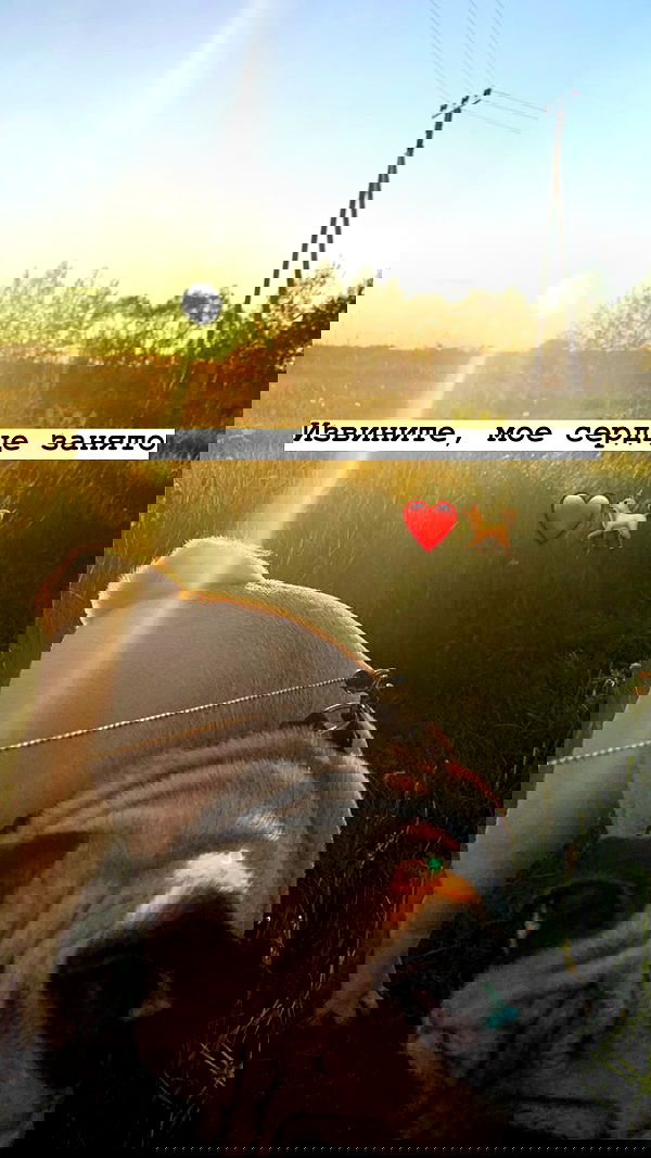 nyityam nyityam archive image