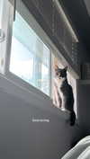 minenmi_ Altpins Profile Picture