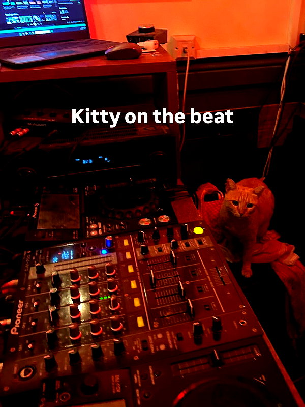 kristinoosh instagram image archive image