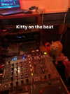 kristinoosh Altpins Profile Picture