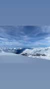 michalcohen___ Altpins Profile Picture