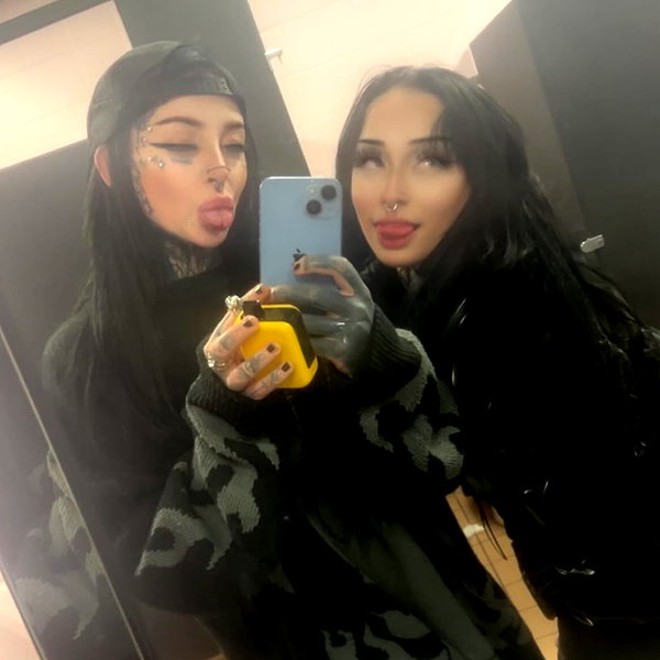 taxevasionkoala instagram image archive image