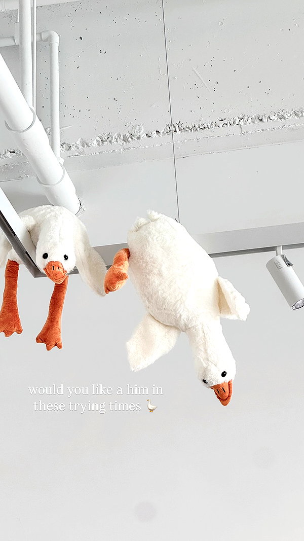 1uvgabi instagram image archive image