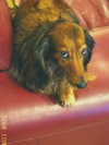 libby_reut Altpins Profile Picture