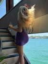 bellarenaldi Altpins Profile Picture