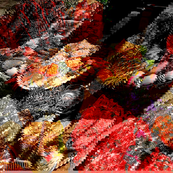 ting851204 ting851204 archive image