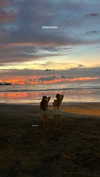 arielgino_ Altpins Profile Picture
