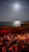aviyabrami_ Altpins Profile Picture