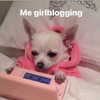 cyberangelz.shop Altpins Profile Picture