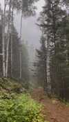 gritsa.k Altpins Profile Picture