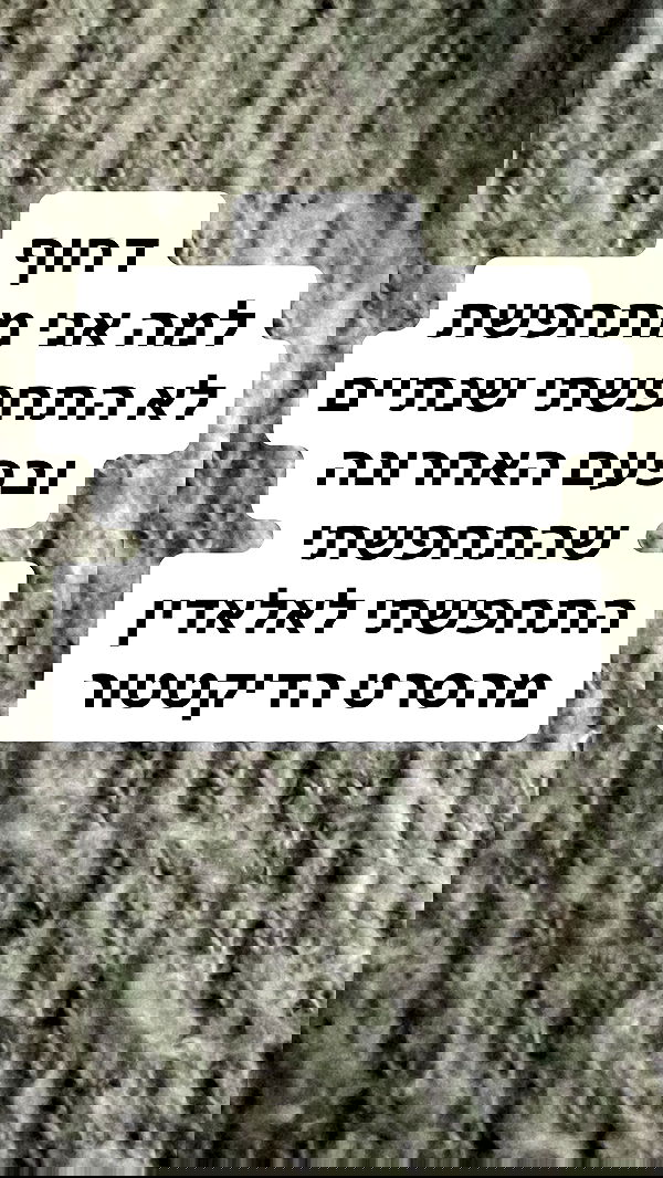 shelly_.mor shelly_.mor archive image