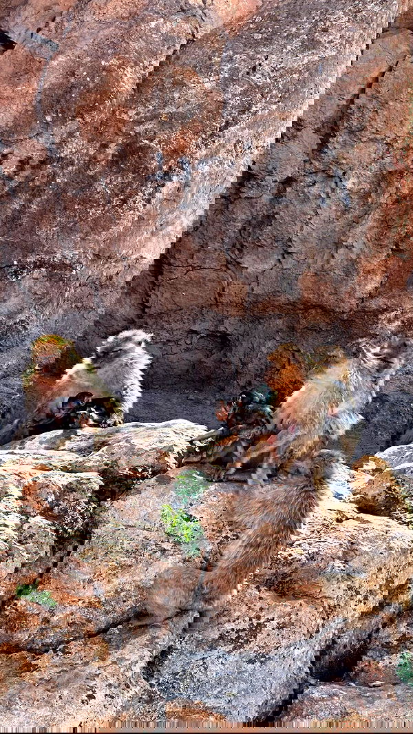 manjolamuriqi manjolamuriqi archive image