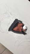 hadar.cha Altpins Profile Picture