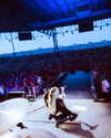 cannonstheband Altpins Profile Picture