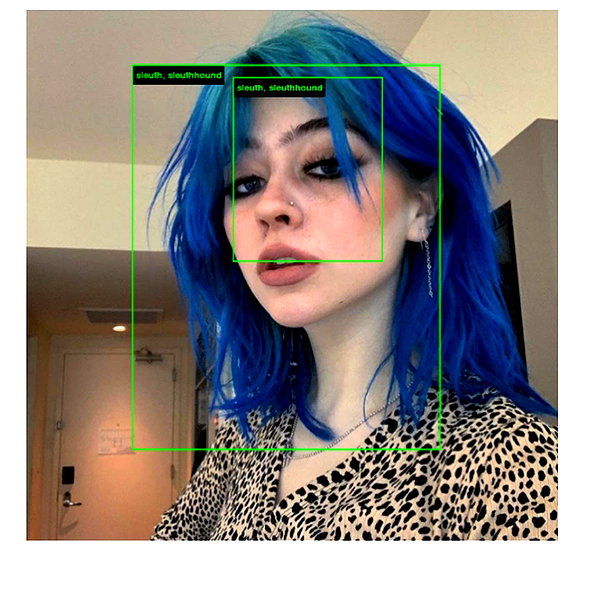 wormsheriff instagram image archive image