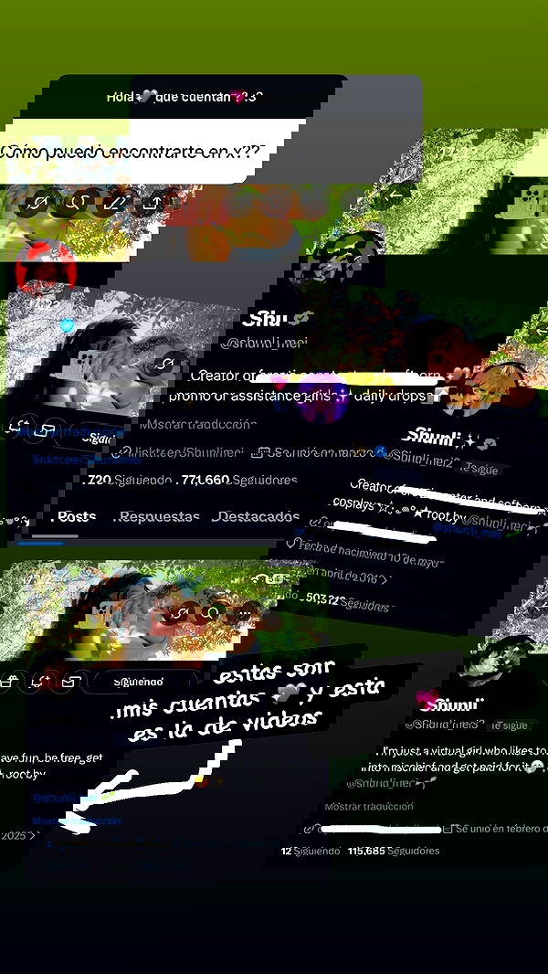 shunli__mei shunli__mei archive image