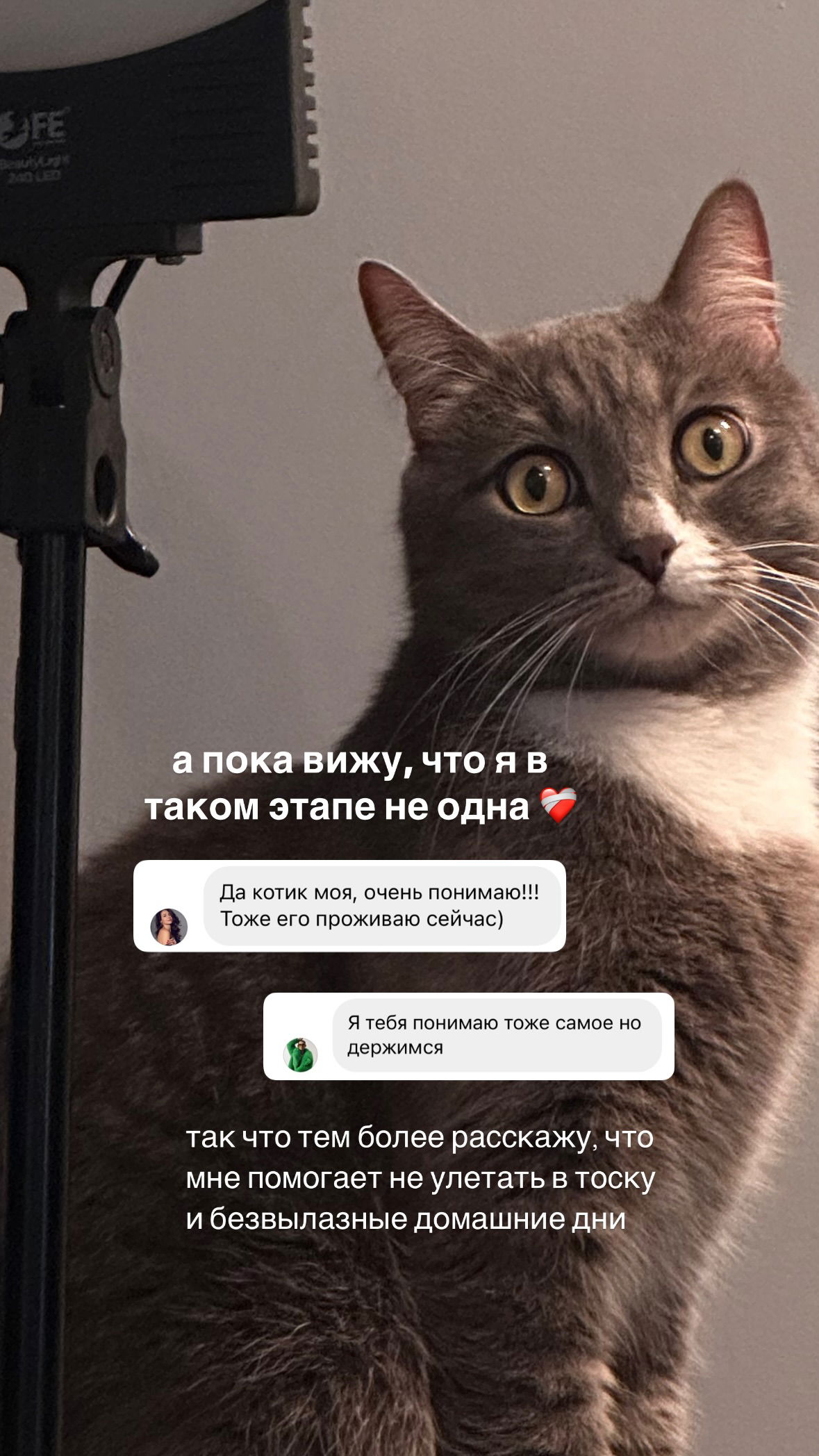 kkulakovaa instagram image archive image