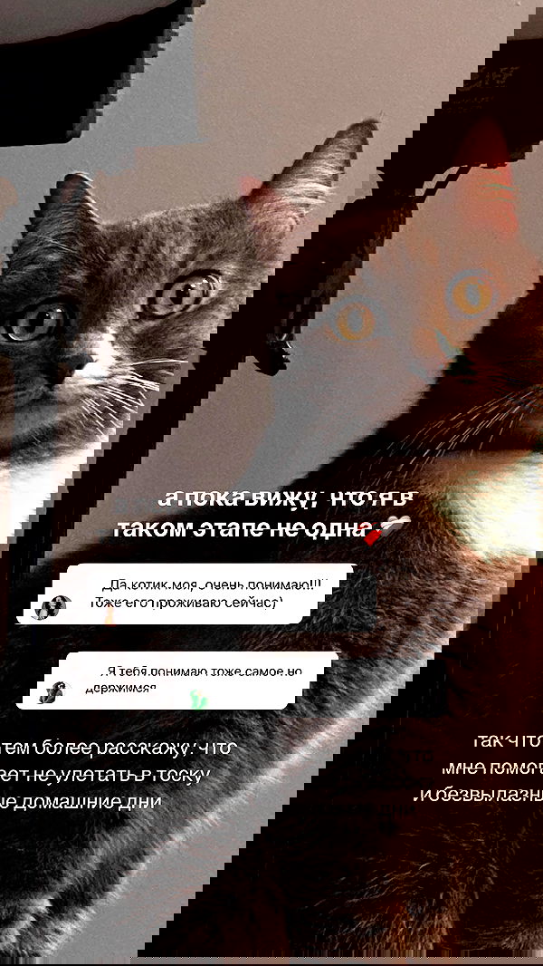 kkulakovaa image ~ Altpins