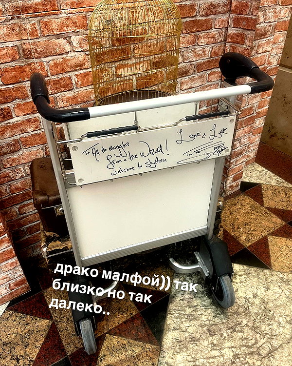 thekallinan instagram image archive image