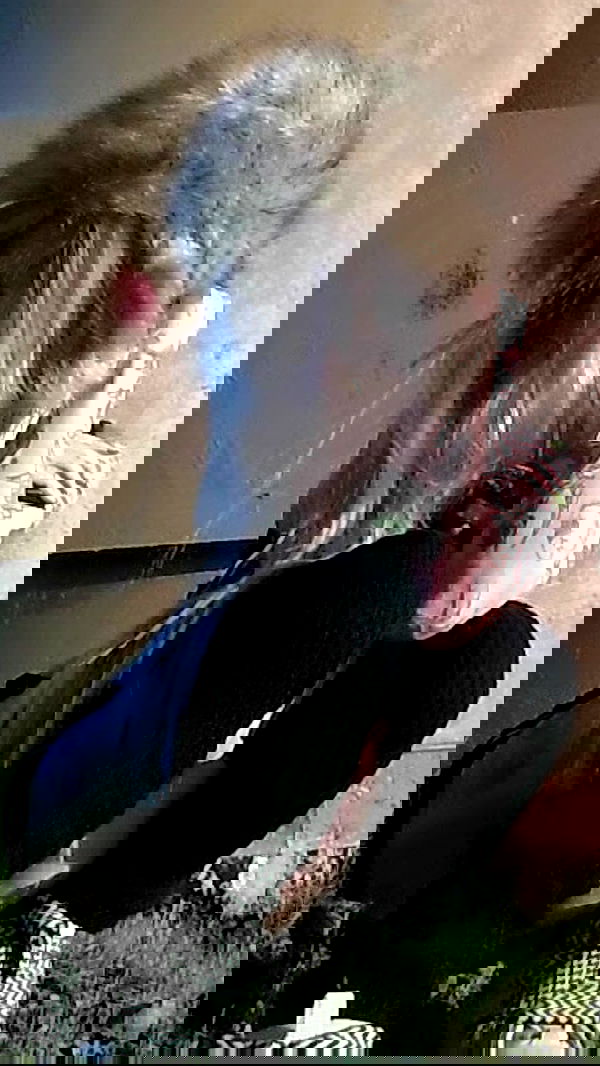 zommmbri zommmbri archive image