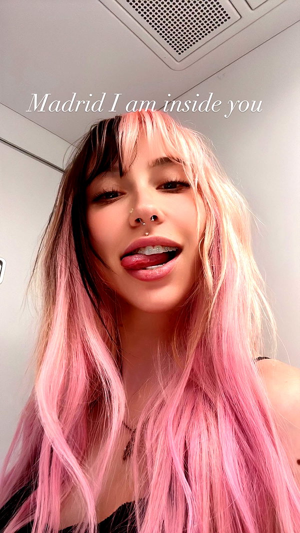 bunnyhazed archive image