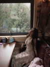 fair_mua Altpins Profile Picture