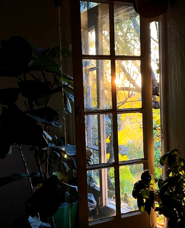 leonanaomii instagram image archive image