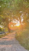alisen.mari Altpins Profile Picture