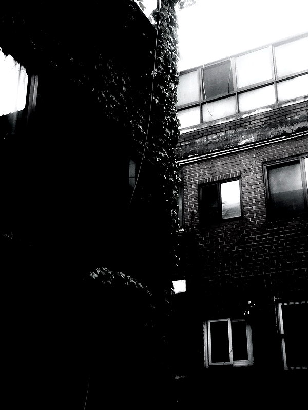 bylordbyron instagram image archive image