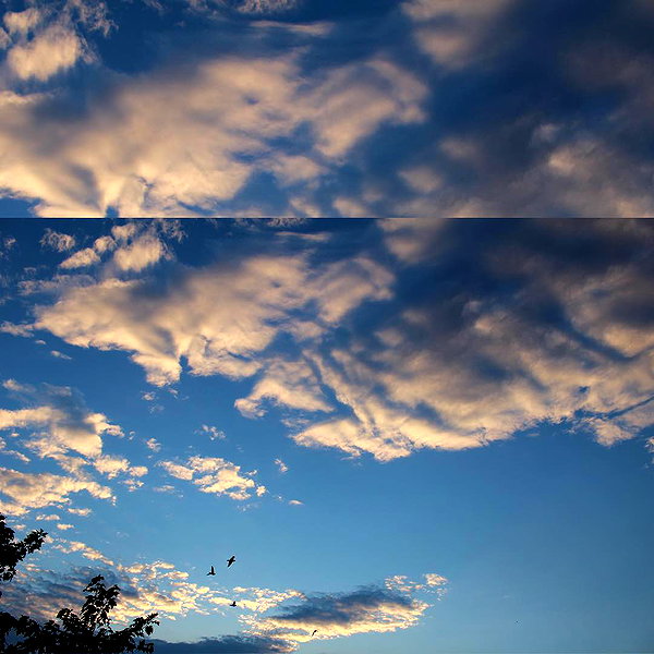 hallucineon instagram image archive image