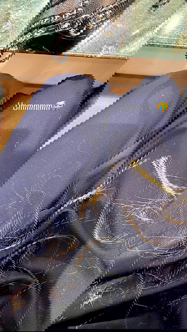 lea._3827 lea._3827 archive image